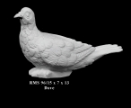 Bonded Marble Dove Birds