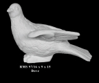 Bonded Marble Dove Birds