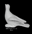 Bonded Marble Dove Birds